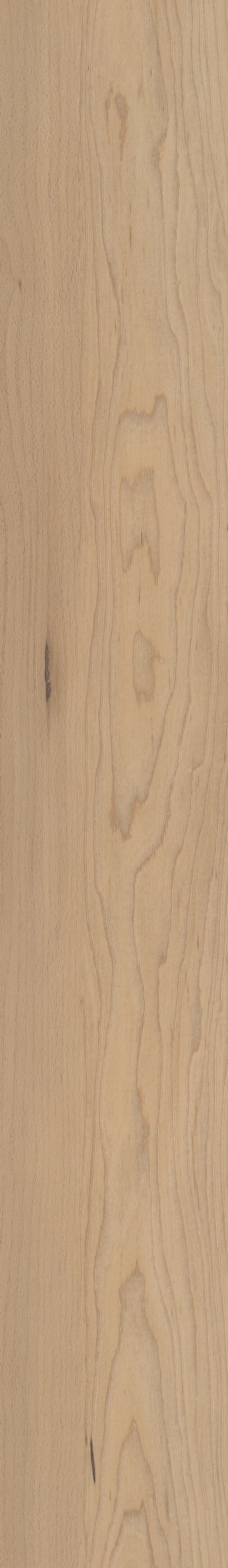 COREtec Pro Plus Integrated - Douglas Maple VV800-05035