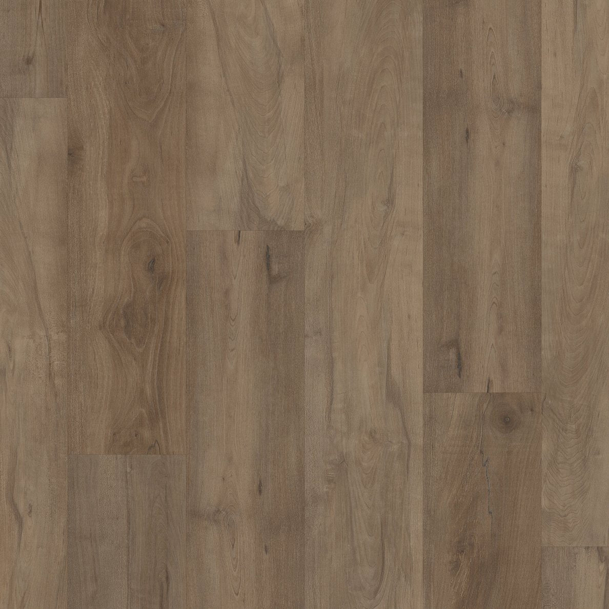 COREtec Pro Plus Integrated - Warmick Maple VV800-03023