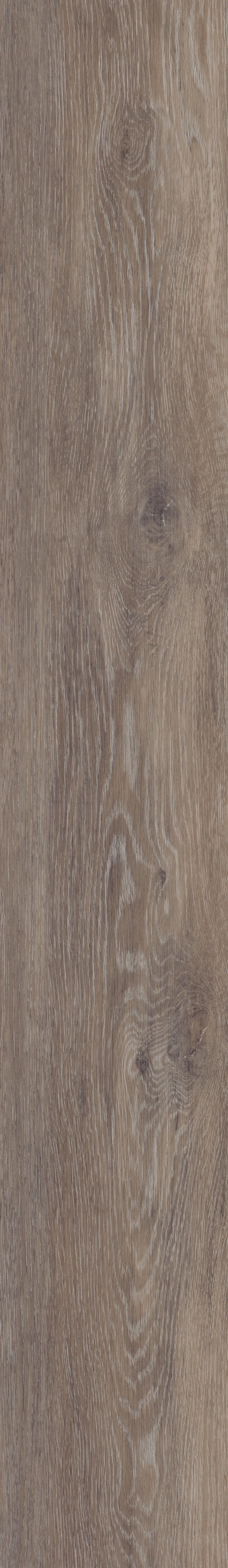 COREtec Plus - 7" Alabaster Oak VV024-00706