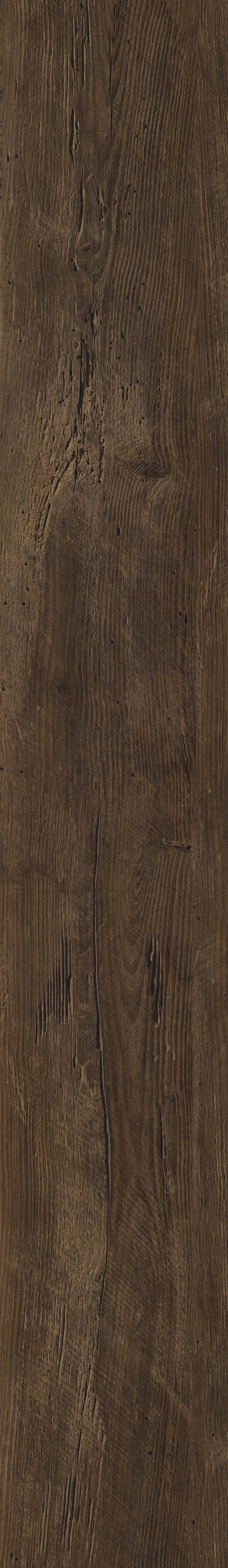 COREtec Pro Plus - Duxbury Oak VV017-01012