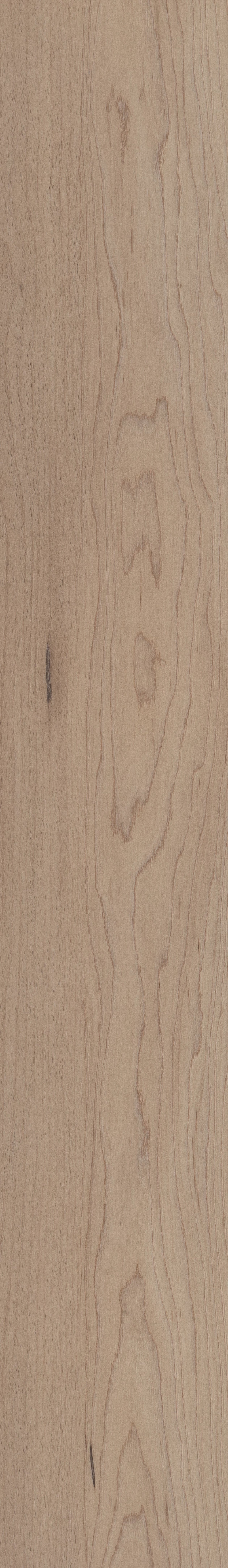 COREtec Pro Plus Integrated - Hartfield Maple VV800-05034