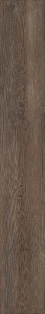 Shaw Paragon - RIPPED PINE 1020V-07047
