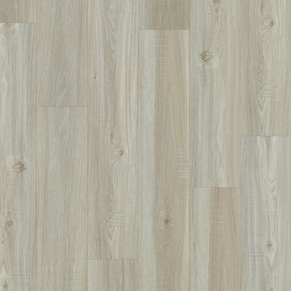 Shaw Impact Plus -  WASHED OAK 2031V-00509