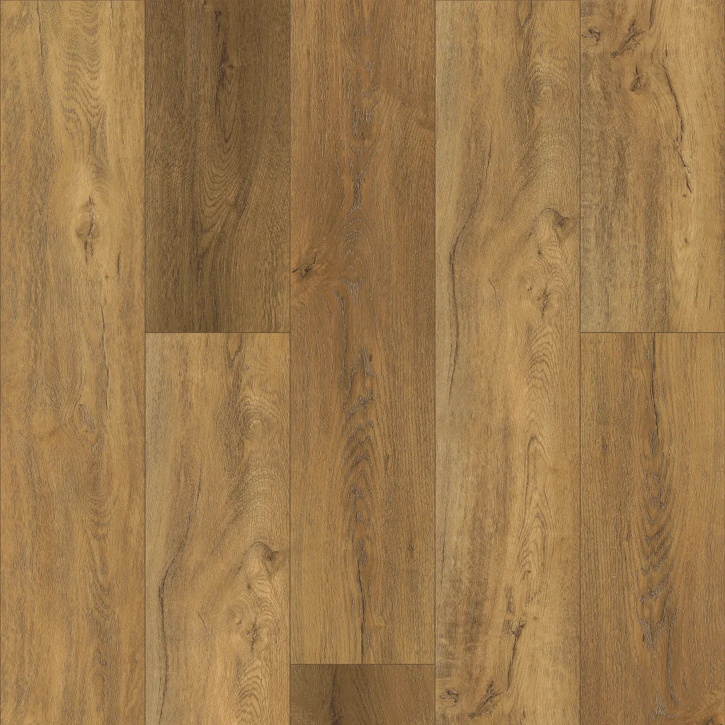 Shaw Pantheon HD Plus - FORESTA 2001V-00282