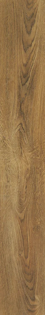 Shaw Pantheon HD Plus - FORESTA 2001V-00282