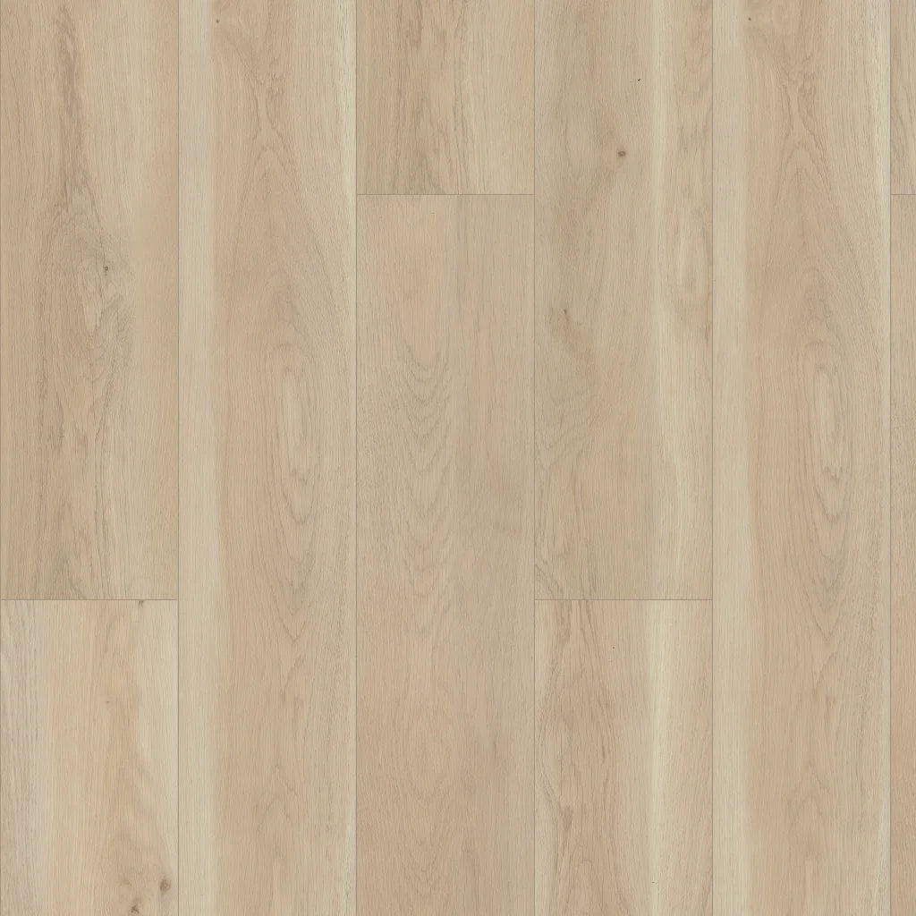 Shaw Paragon HD+ Natural Bevel - CAMBRIDGE 3038V-02048