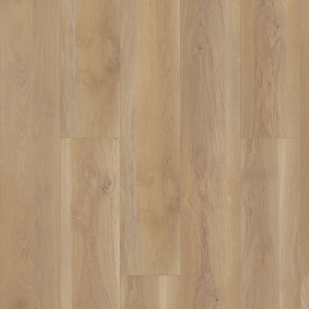 Shaw Paragon HD+ Natural Bevel - EDGEMONT 3038V-02050