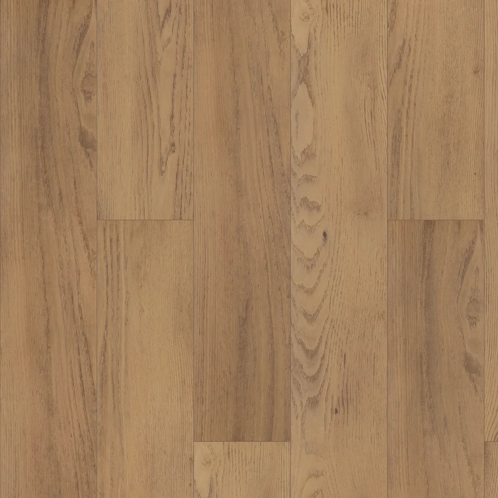 Shaw Paragon HD+ Natural Bevel - FRANKLIN 3038V-06021
