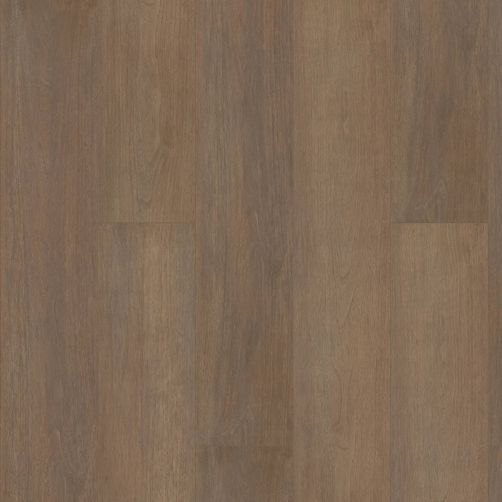 Shaw Paragon HD+ Natural Bevel - GABLE 3038V-07239