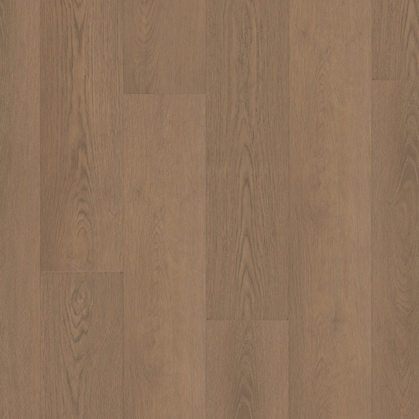 Shaw Paragon HD+ Natural Bevel - RUTLEDGE 3038V-07353