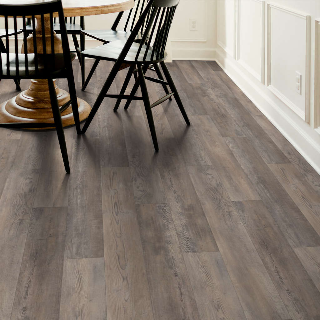 Shaw Pantheon HD Plus - TEMPESTA 2001V-00594