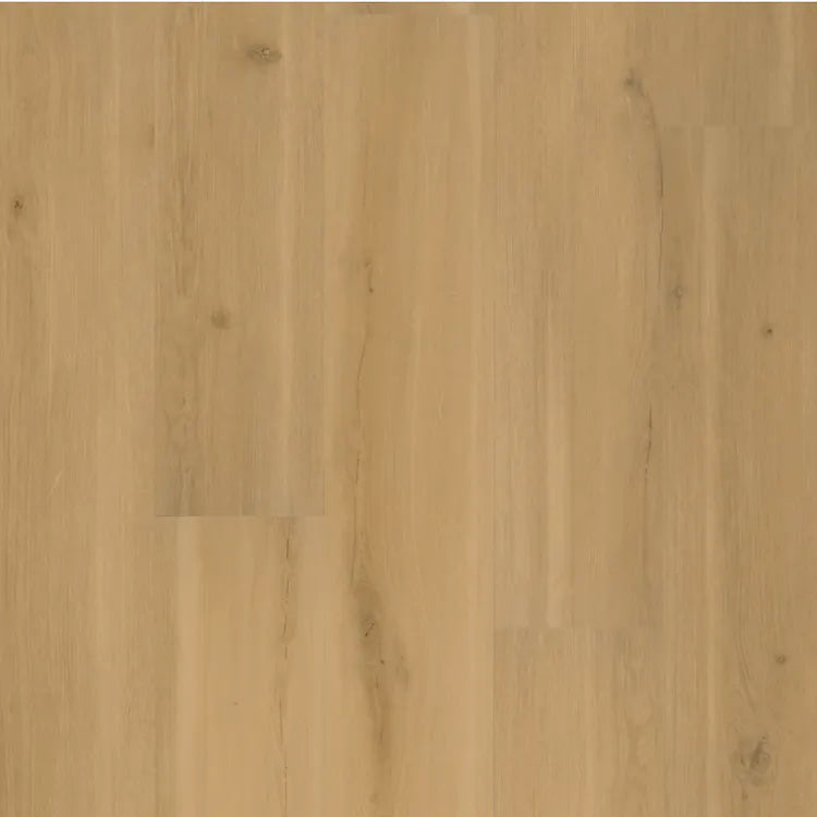 Max Plank Praline 7.1" (28.52sf p/ carton) $6.89 p/ sf SHIPPING INCLUDED