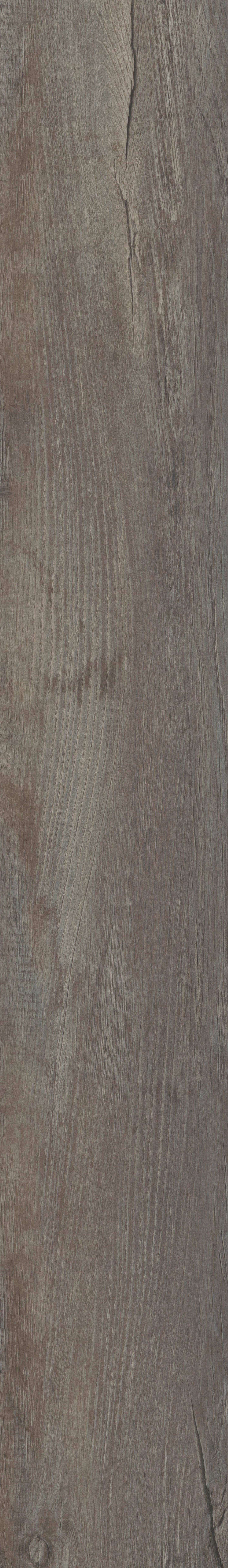 COREtec Pro Plus - Galveston Oak VV017-01002