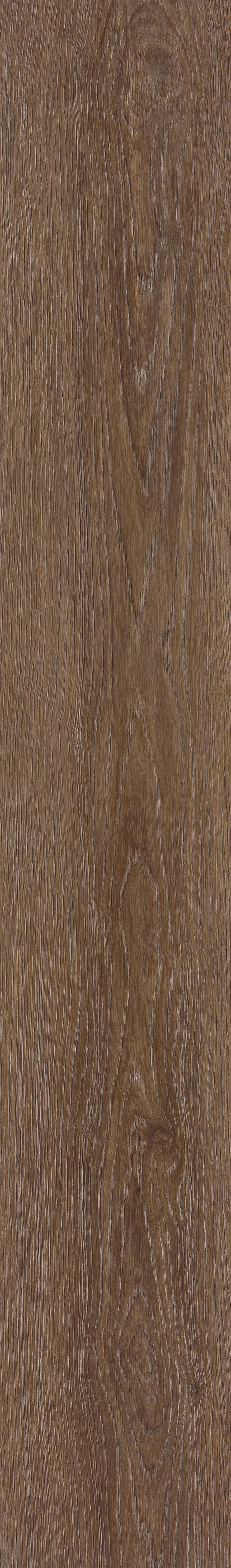 COREtec Plus - 7" Mulford Oak VV024-03036