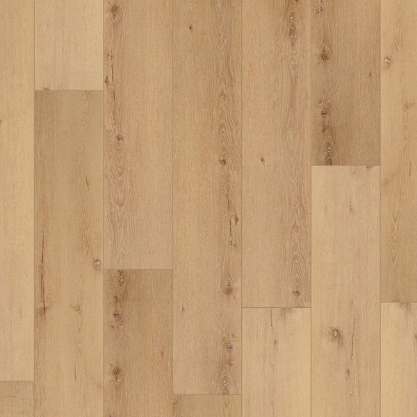 【Welina♡KAKORO·͜·⭑】 Karndean Korlok Select Natural Koa 9