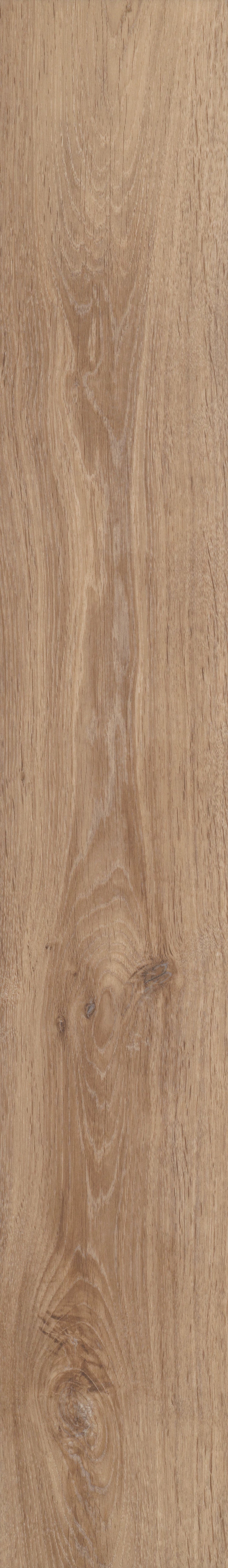 COREtec Pro Plus Enhanced - Lyric Oak VV492-02027