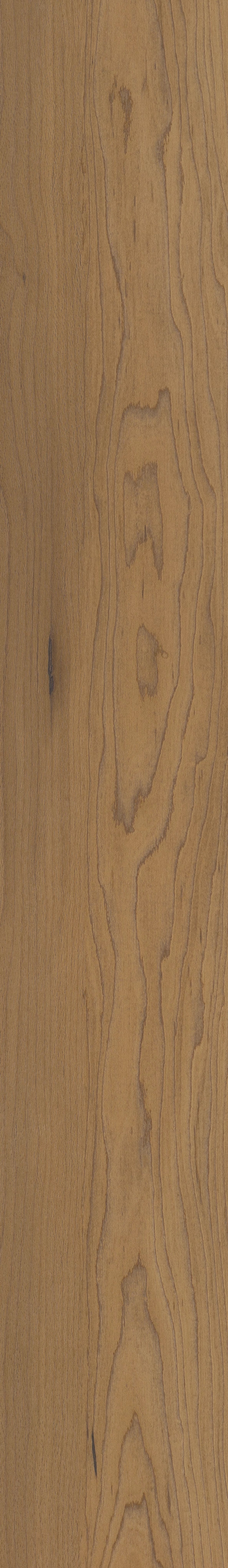 COREtec Pro Plus Integrated - Essex Maple VV800-02035