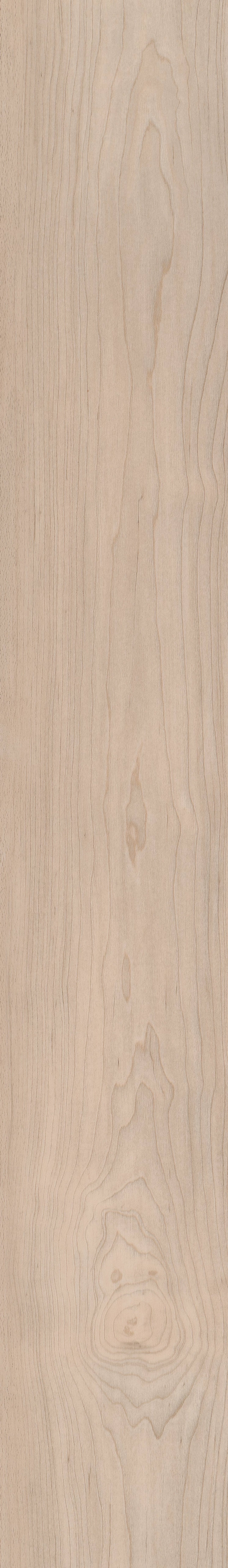 COREtec Pro Plus Integrated - Norfolk Maple VV800-08007