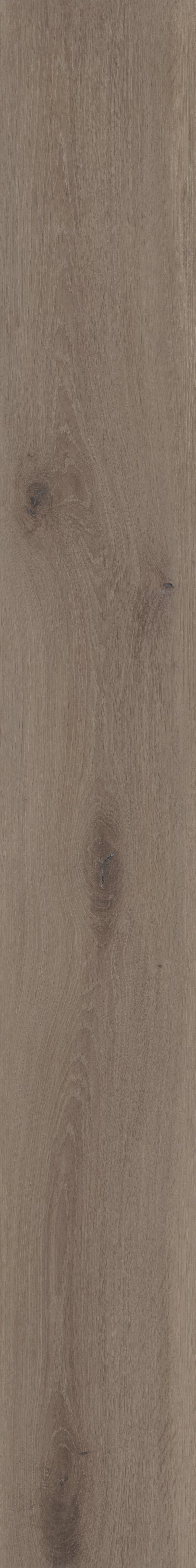 COREtec 9" Mist Oak ($7.79 p/sf) - FREE SHIPPING