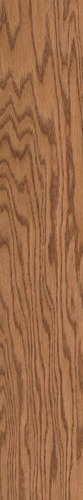 Shaw - SW582 Albright Oak - 00223 Caramel 