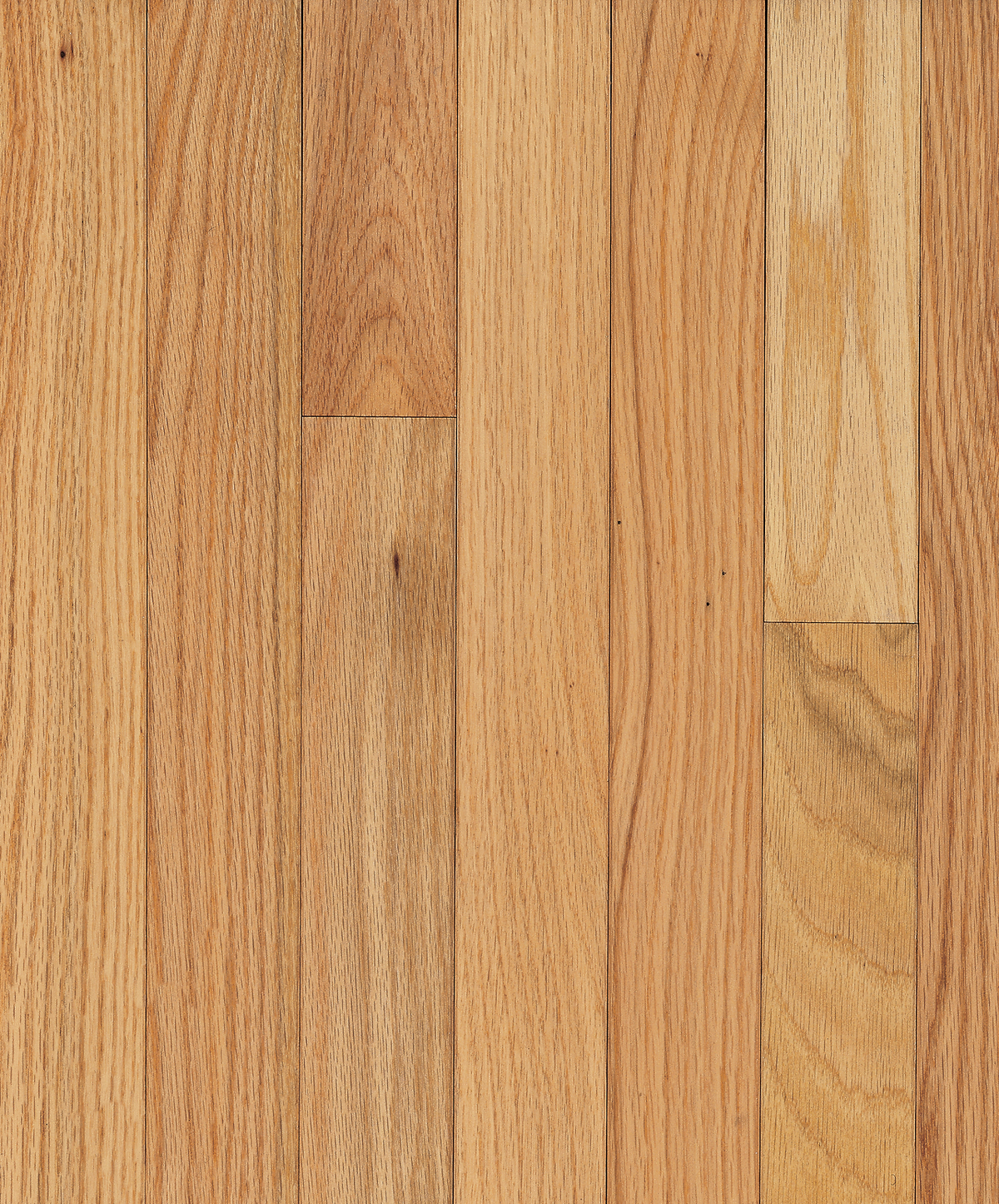 Bruce Dundee 2-1/4" Natural CB210