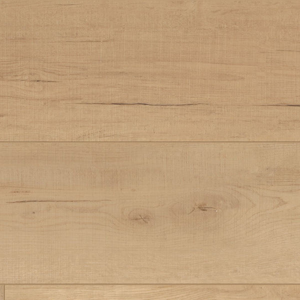 Calypso_600x600_crop_center.