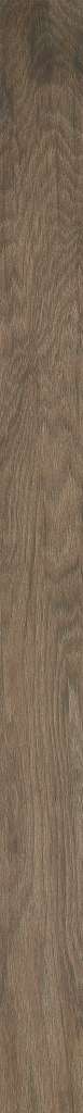 Shaw Engineered - SW669 NORTHINGTON SMOOTH - 07035 Chestnut