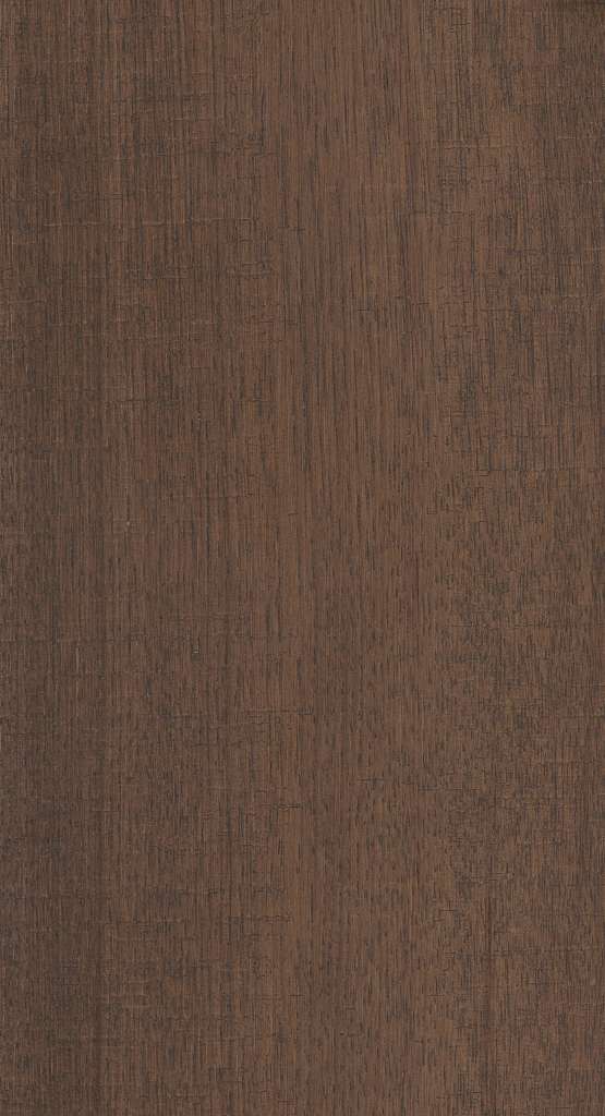 Shaw Engineered - SW749 Tactility Hickory - 07120 Etched