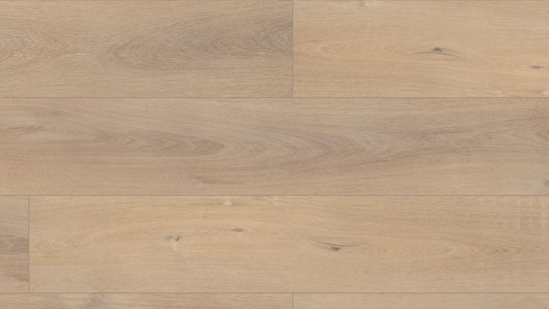 COREtec Pro Plus XL Enhanced HD - Ravenswood Oak VV488-2091A