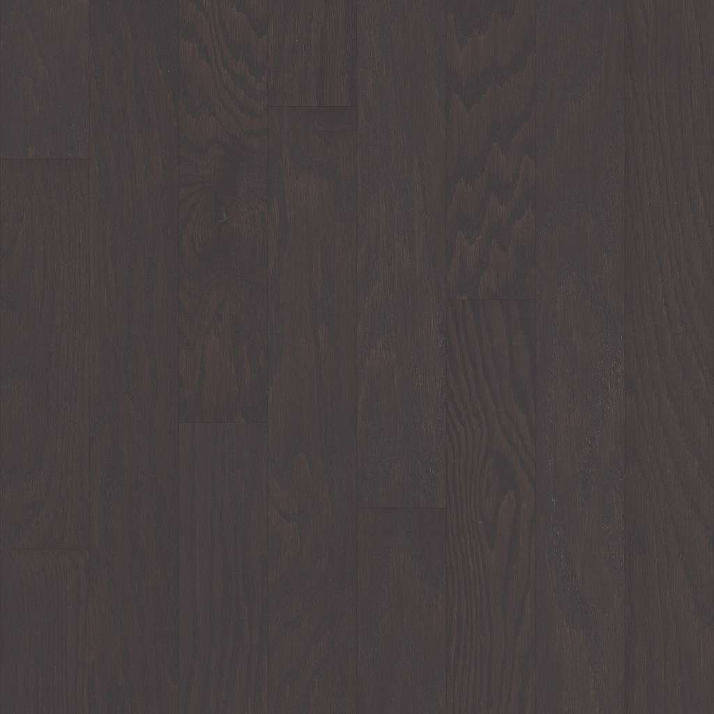 Shaw Albright Oak - Charcoal SW581-05103