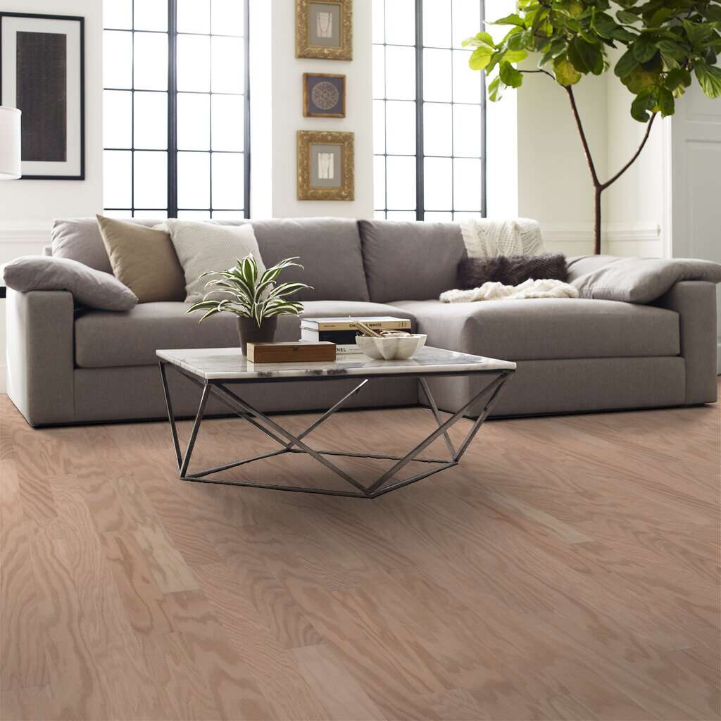 Shaw Albright Oak  Biscuit LG SW581-01102