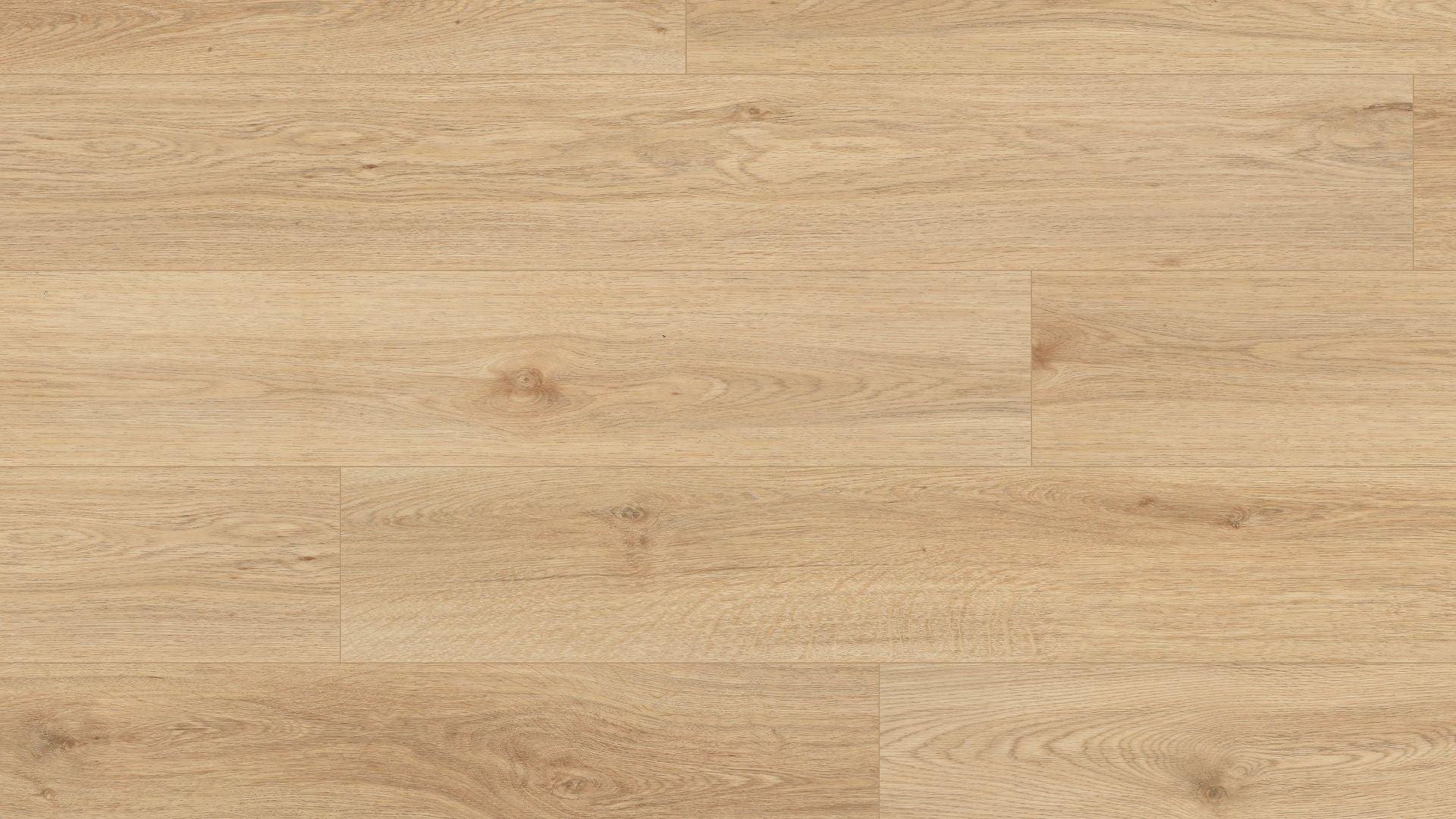 COREtec Pro Plus - Springfield Oak VV017-01020